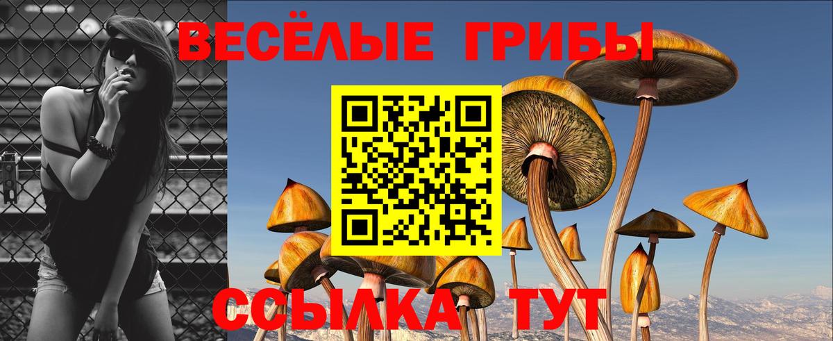 Псилоцибиновые грибы мухоморы  Галлюциногенные грибы мицелий  Вход с VPN  Керчь 